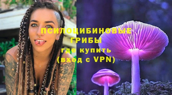 трава Абинск
