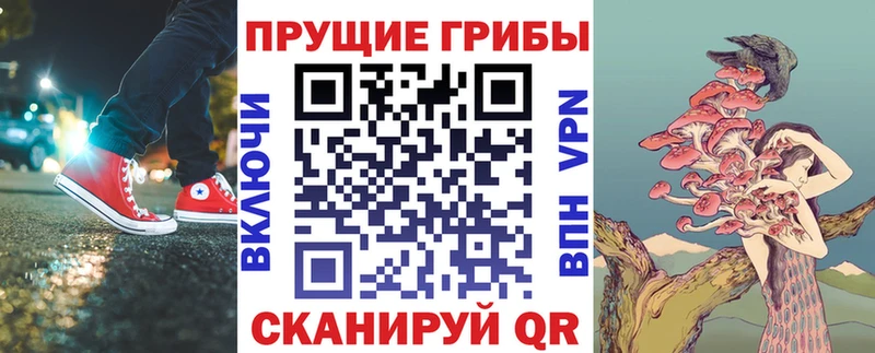 Псилоцибиновые грибы Magic Shrooms  магазин продажи   Астрахань 